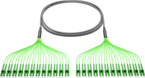 Kabel harness LCd-LCd, MM OM5, 24FO